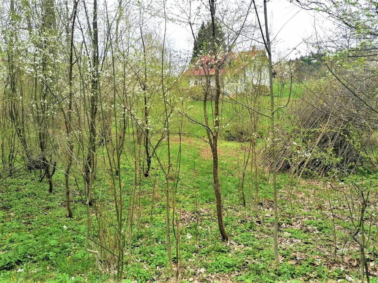 Prodej pozemku 340 m² — photo 2