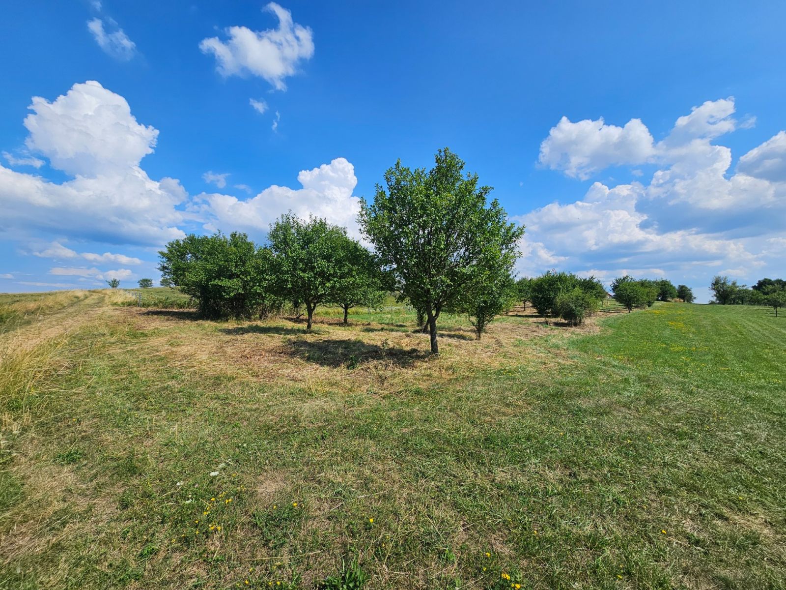 Prodej pozemku 2.492 m²