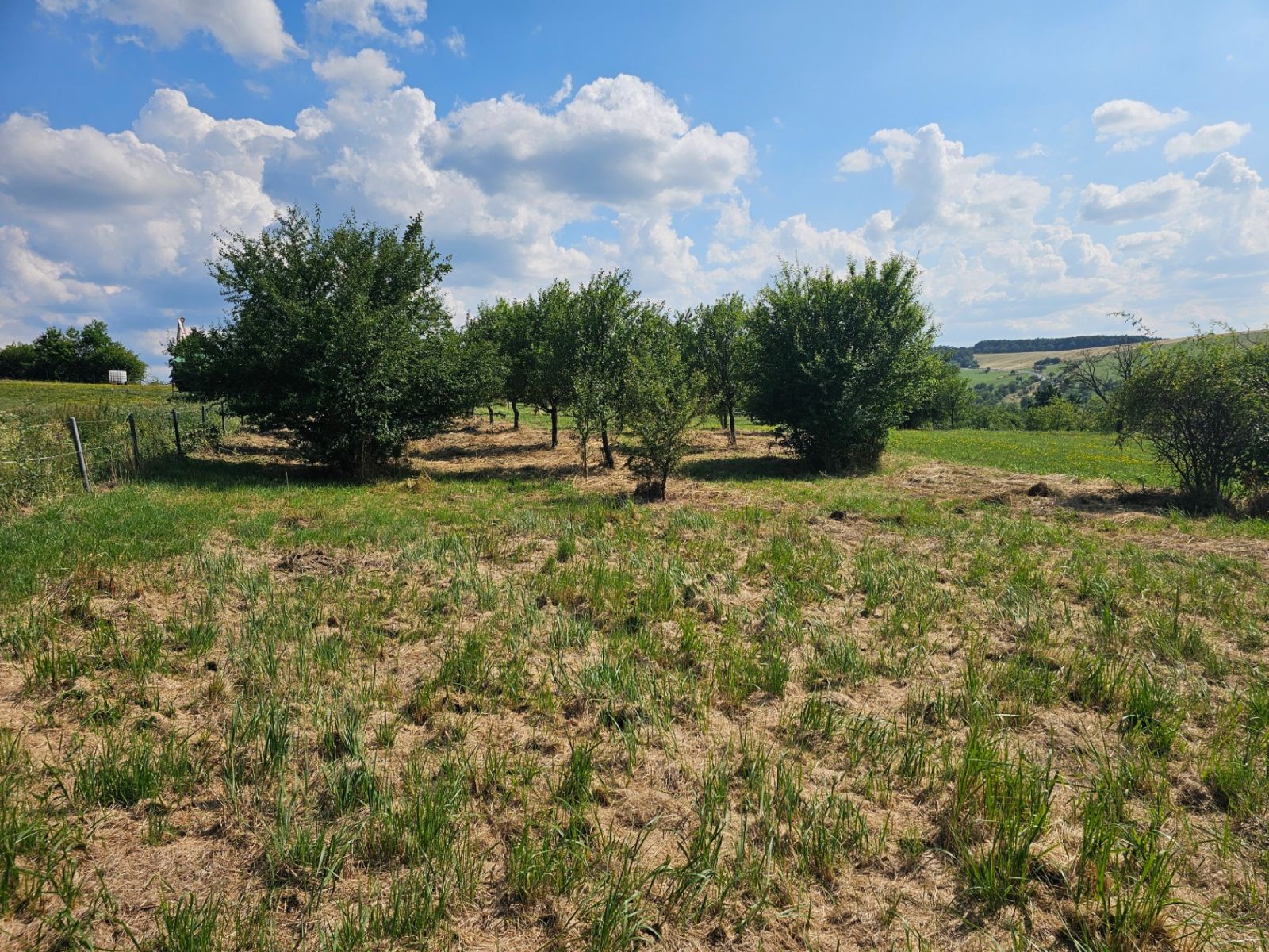 Prodej pozemku 2.492 m² — photo 2
