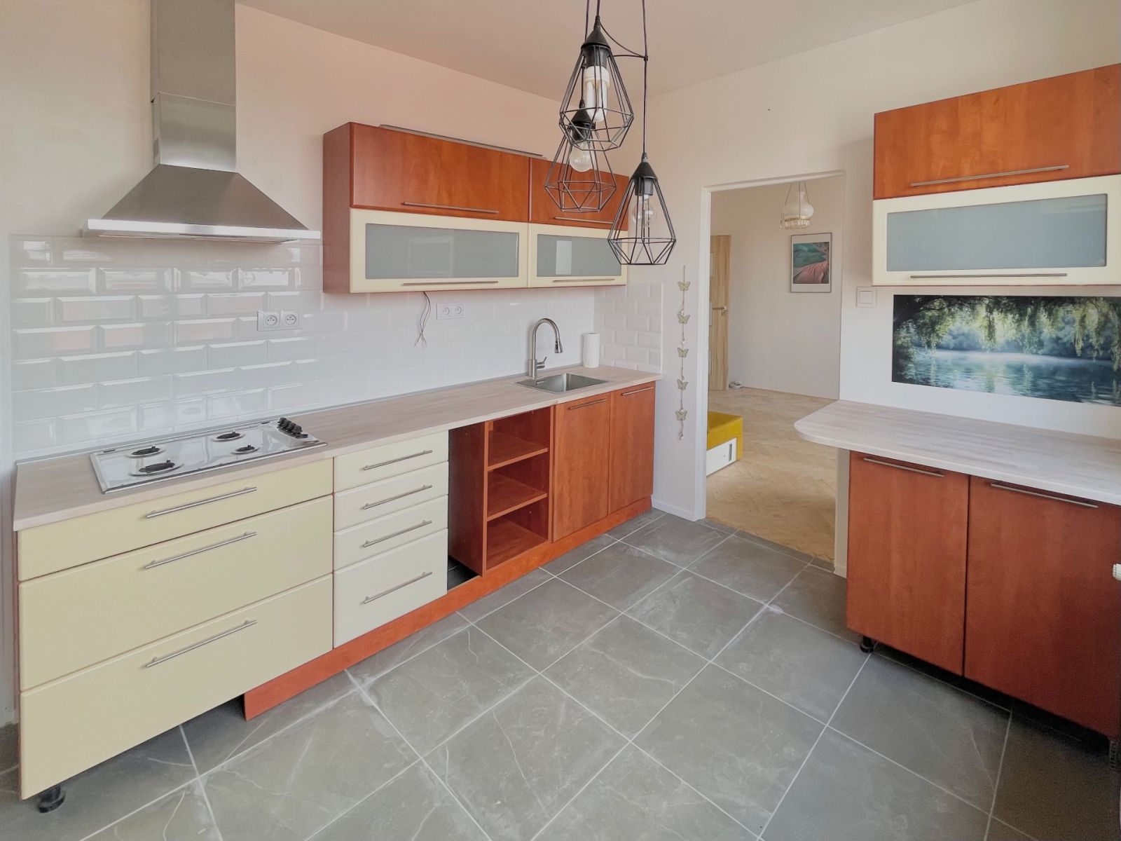 Prodej bytu 3+1 69 m² — photo 4