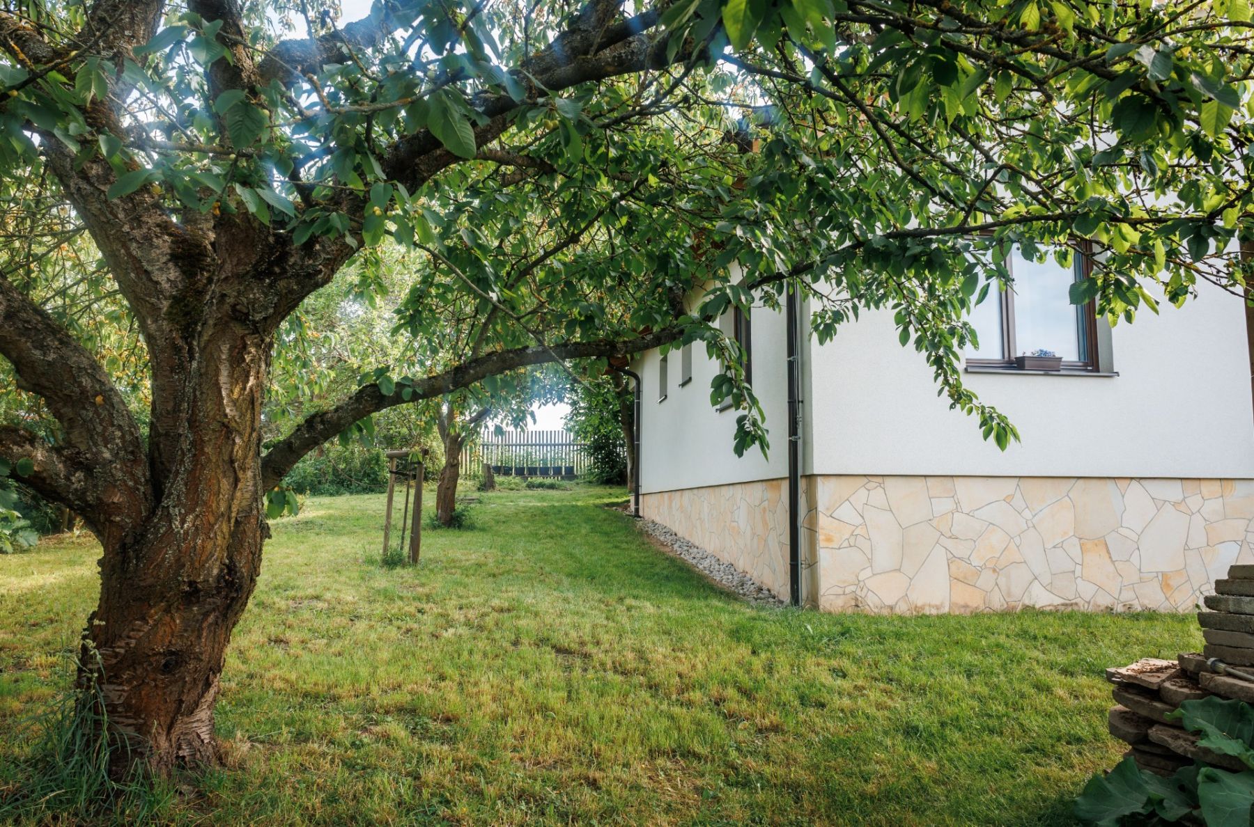 Prodej domu 117 m², pozemek 774 m² — photo 2