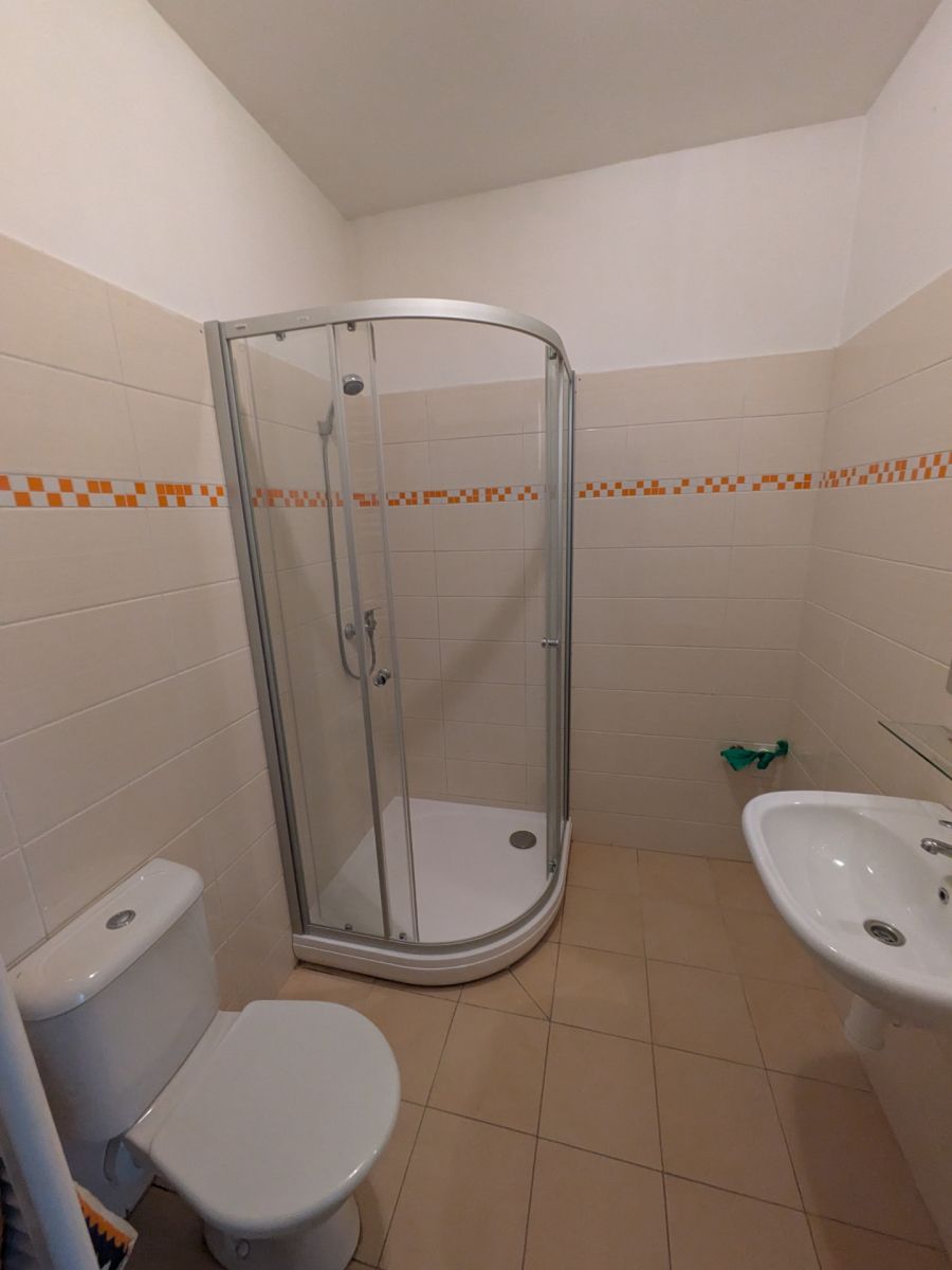 Pronájem bytu 1+kk 30 m² — photo 4