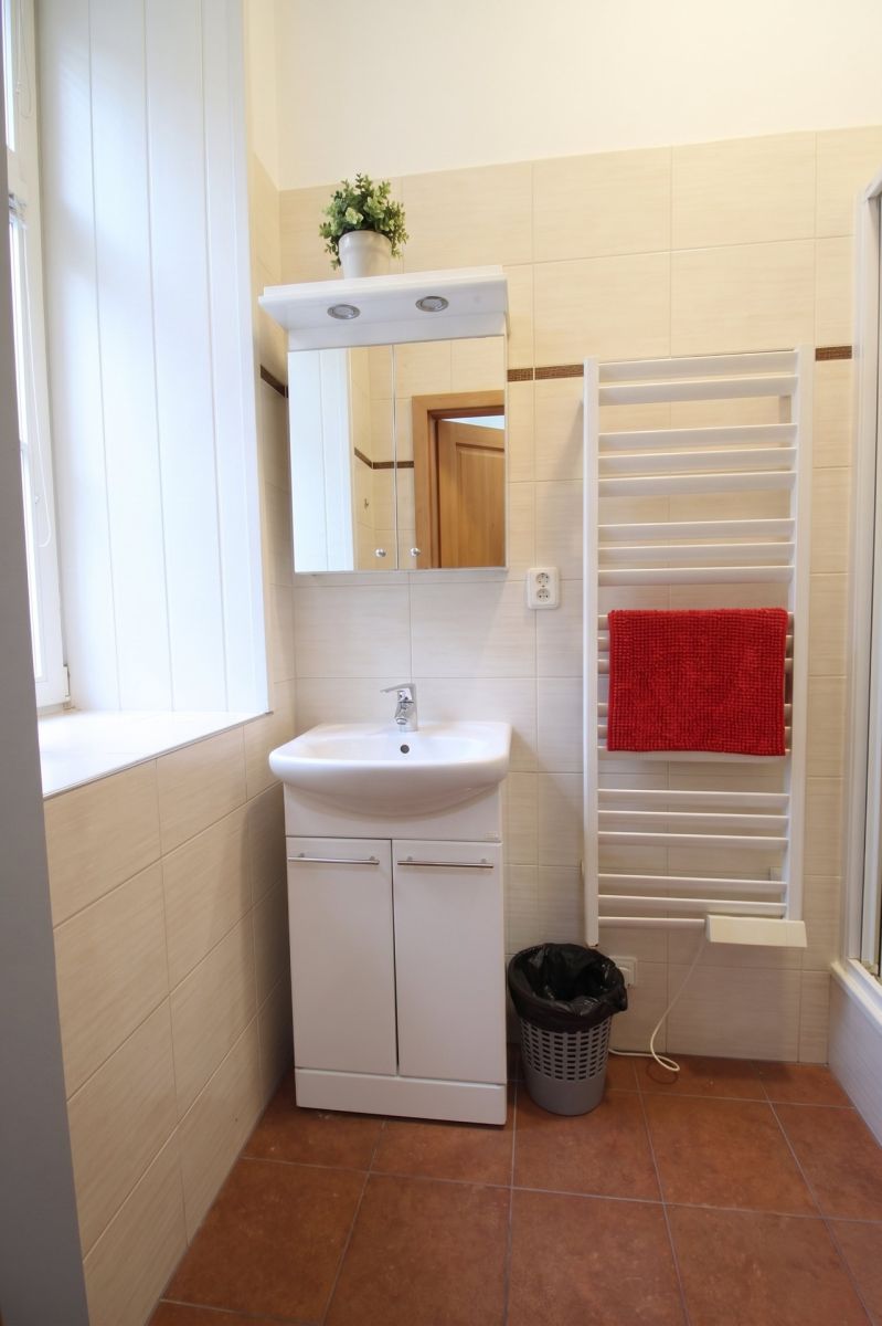 Pronájem bytu 1+1 37 m² - Ansicht 4