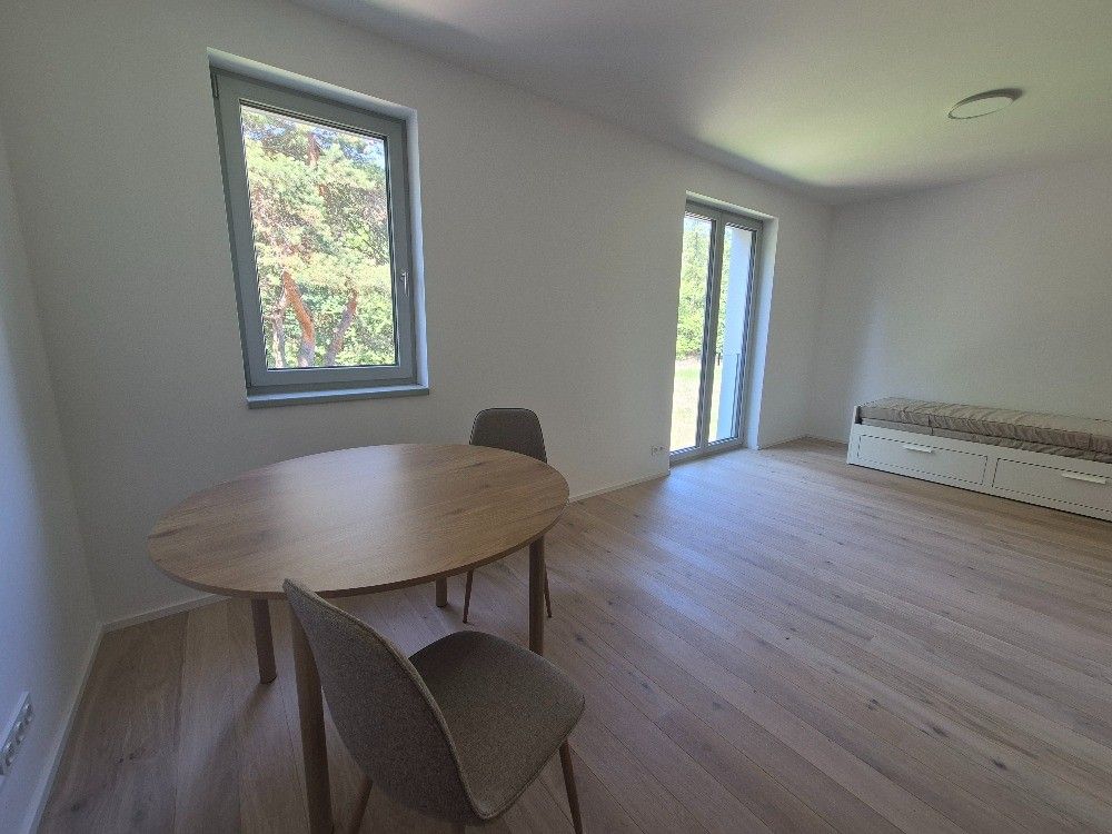 Pronájem bytu 1+kk 38 m² — photo 4