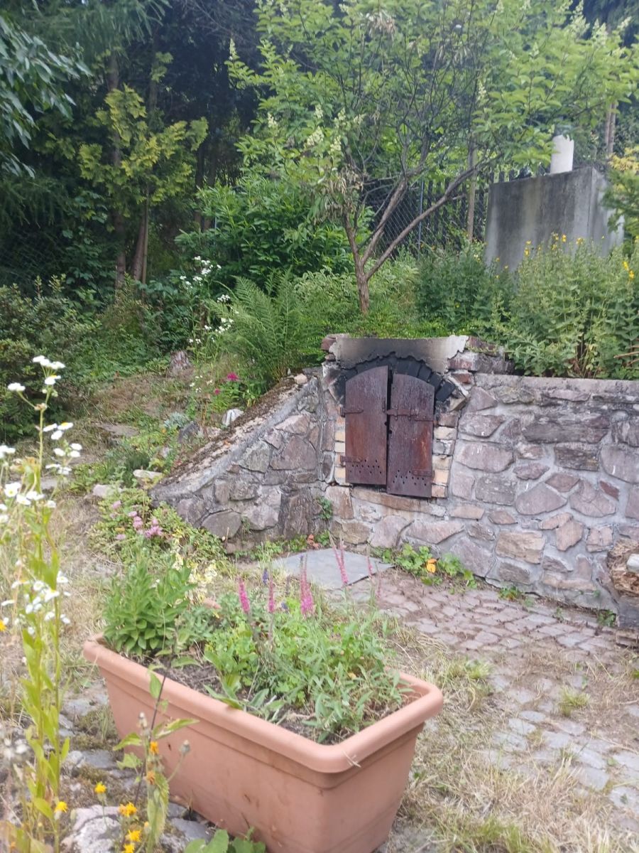 Prodej chaty, chalupy 25 m², pozemek 545 m² — photo 3