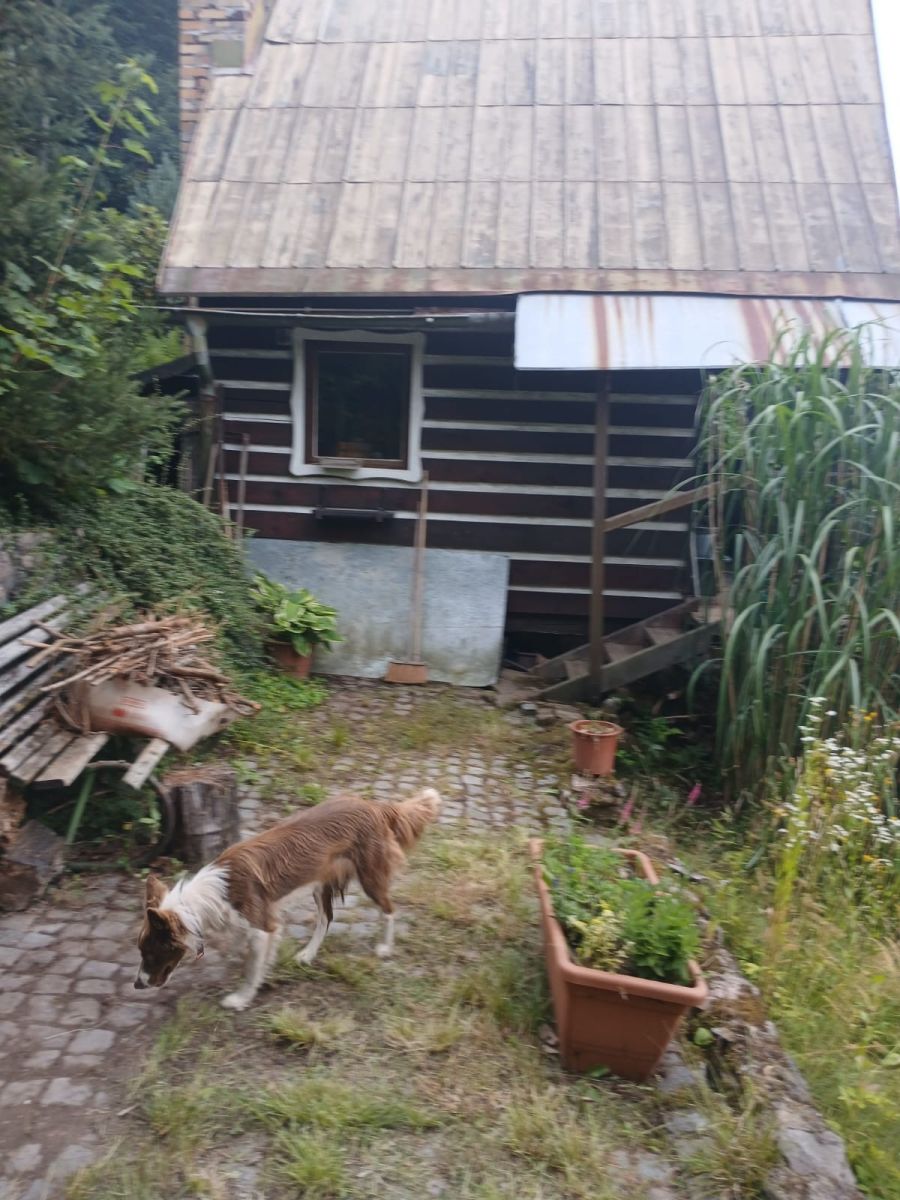 Prodej chaty, chalupy 25 m², pozemek 545 m² — photo 2