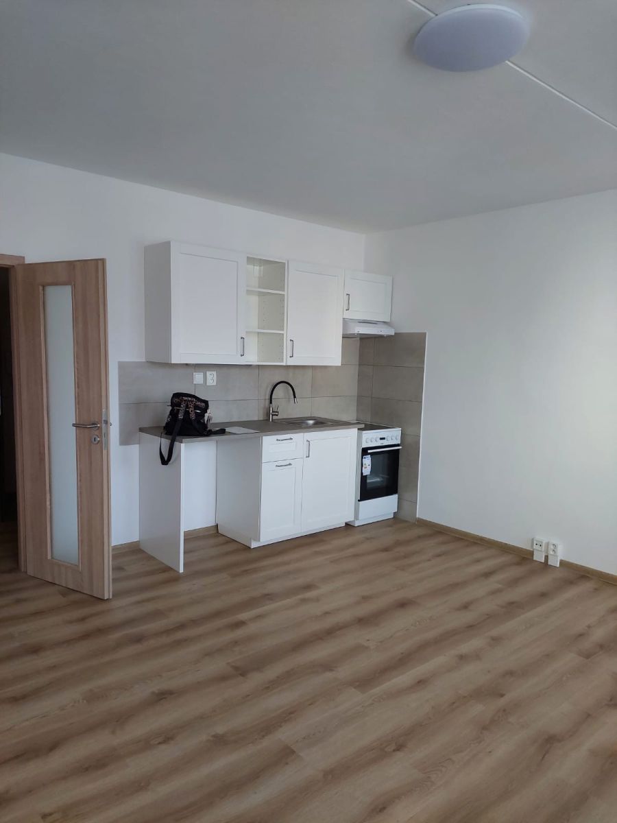 Pronájem bytu 1+kk 33 m² — photo 4