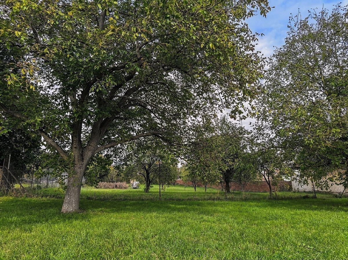 Prodej pozemku 2.041 m² — photo 2