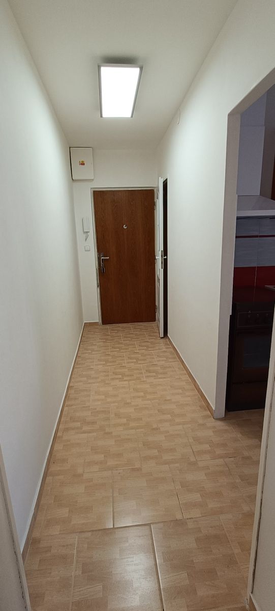 Pronájem bytu 2+1 60 m² — photo 3