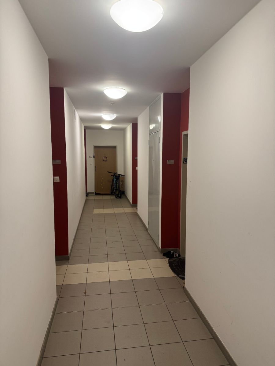 Pronájem bytu 2+1 51 m² — photo 3
