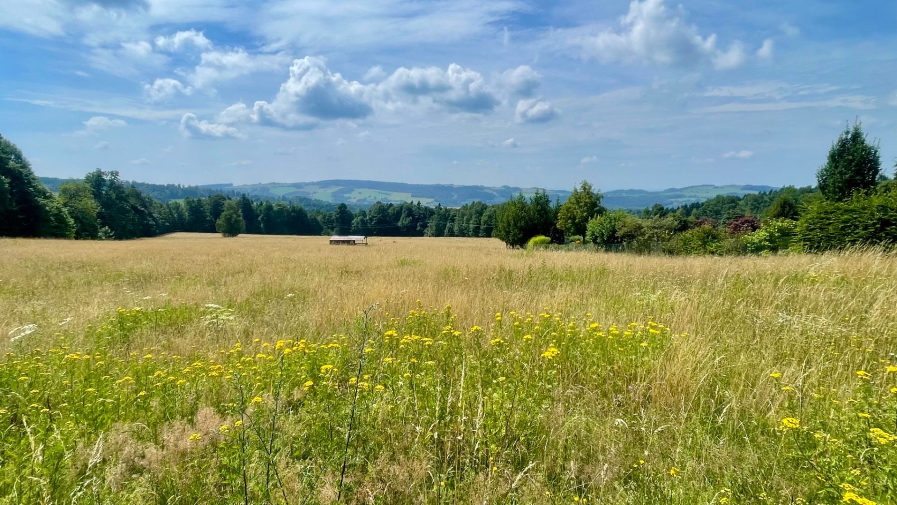 Prodej pozemku 2.205 m² — photo 4