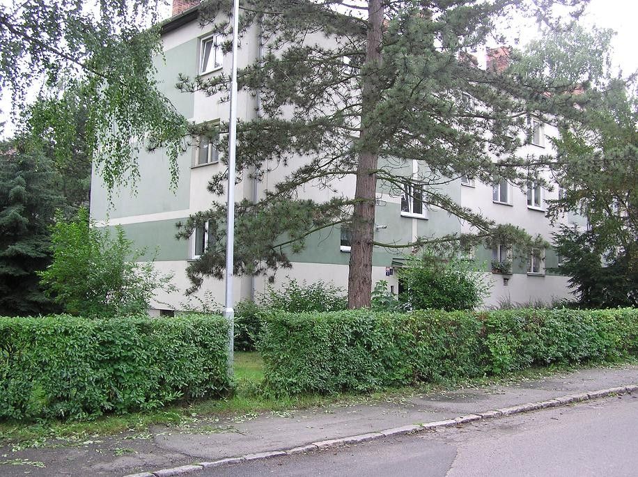 Pronájem bytu 2+1 50 m² — photo 2