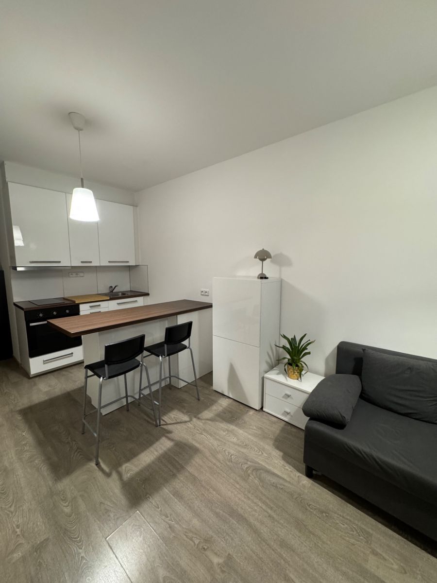 Pronájem bytu 1+kk 27 m²