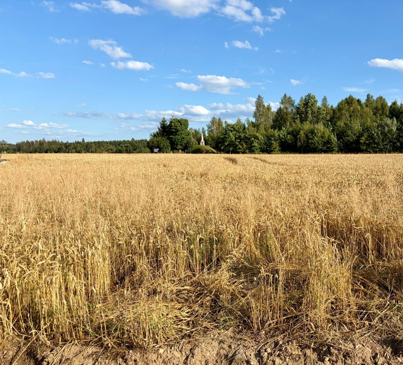 Prodej pozemku 714 m²