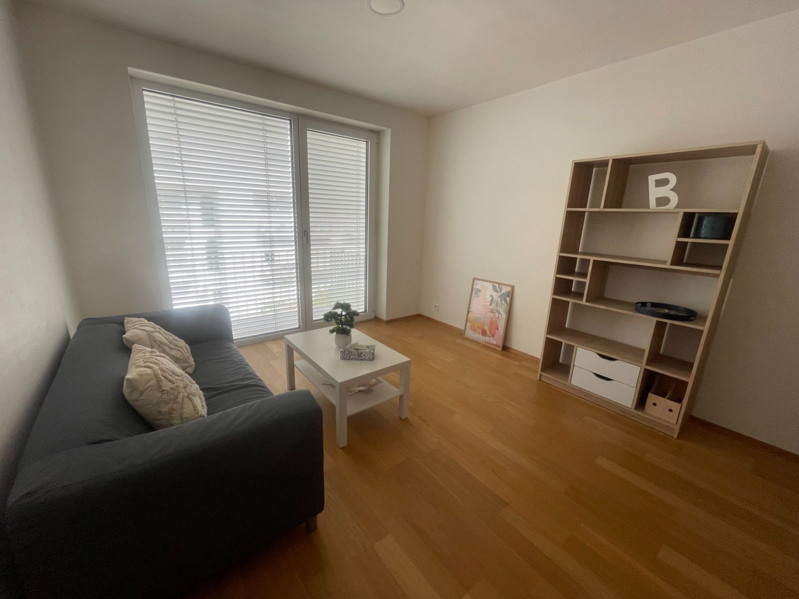 Pronájem bytu 2+kk 52 m² — photo 4