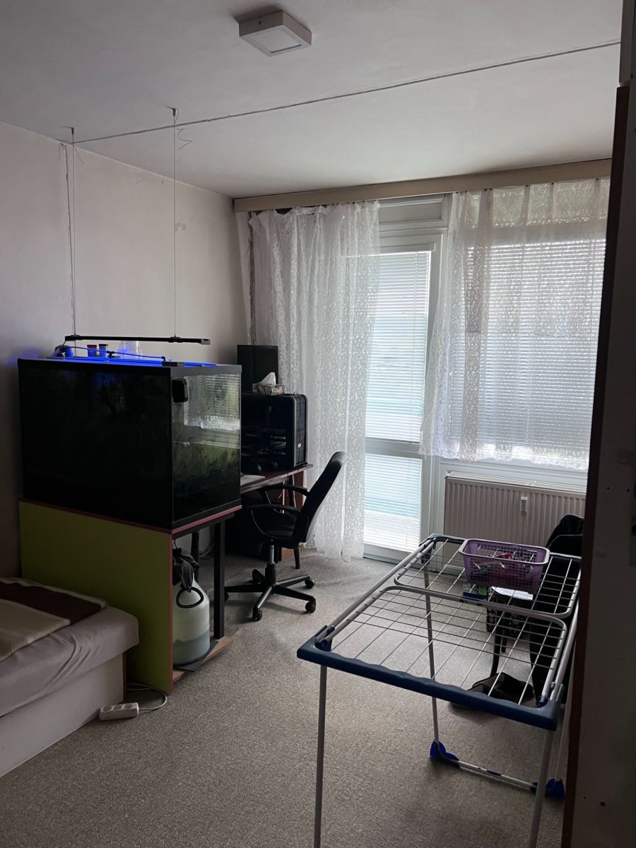Prodej bytu 2+1 62 m² — photo 2