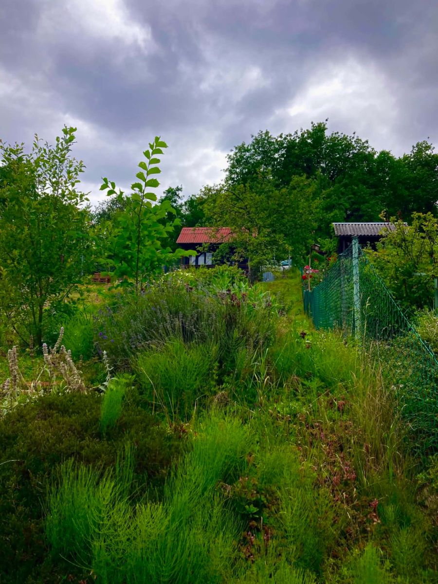 Prodej chaty, chalupy 16 m², pozemek 382 m² — photo 4