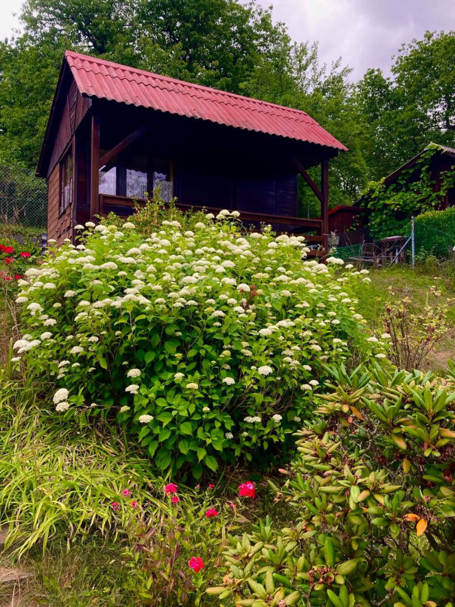 Prodej chaty, chalupy 16 m², pozemek 382 m²