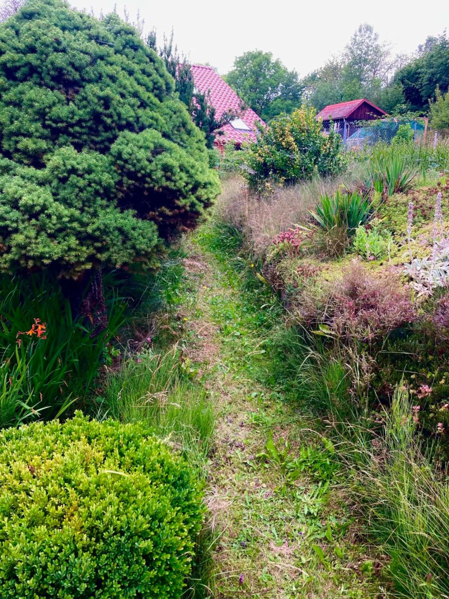Prodej chaty, chalupy 16 m², pozemek 382 m² — photo 5