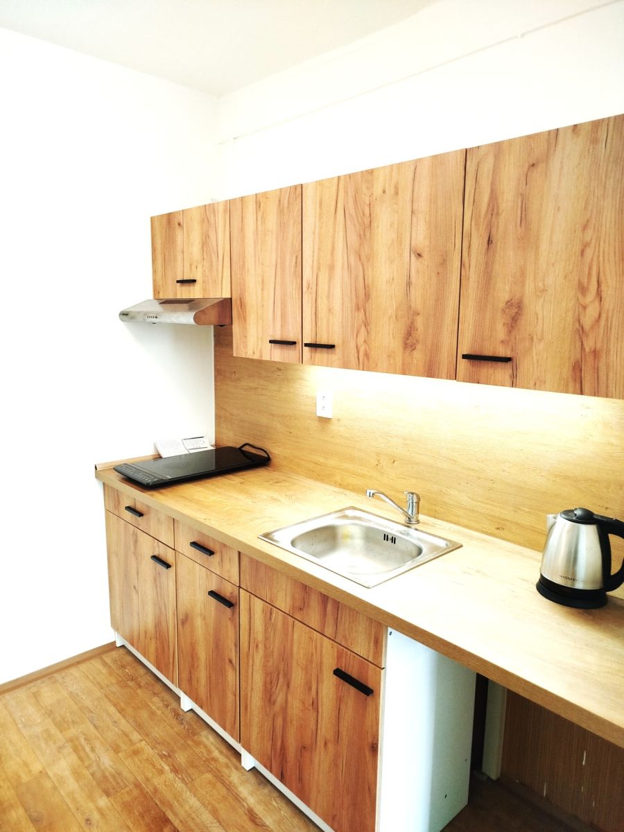 Pronájem bytu 2+kk 45 m²