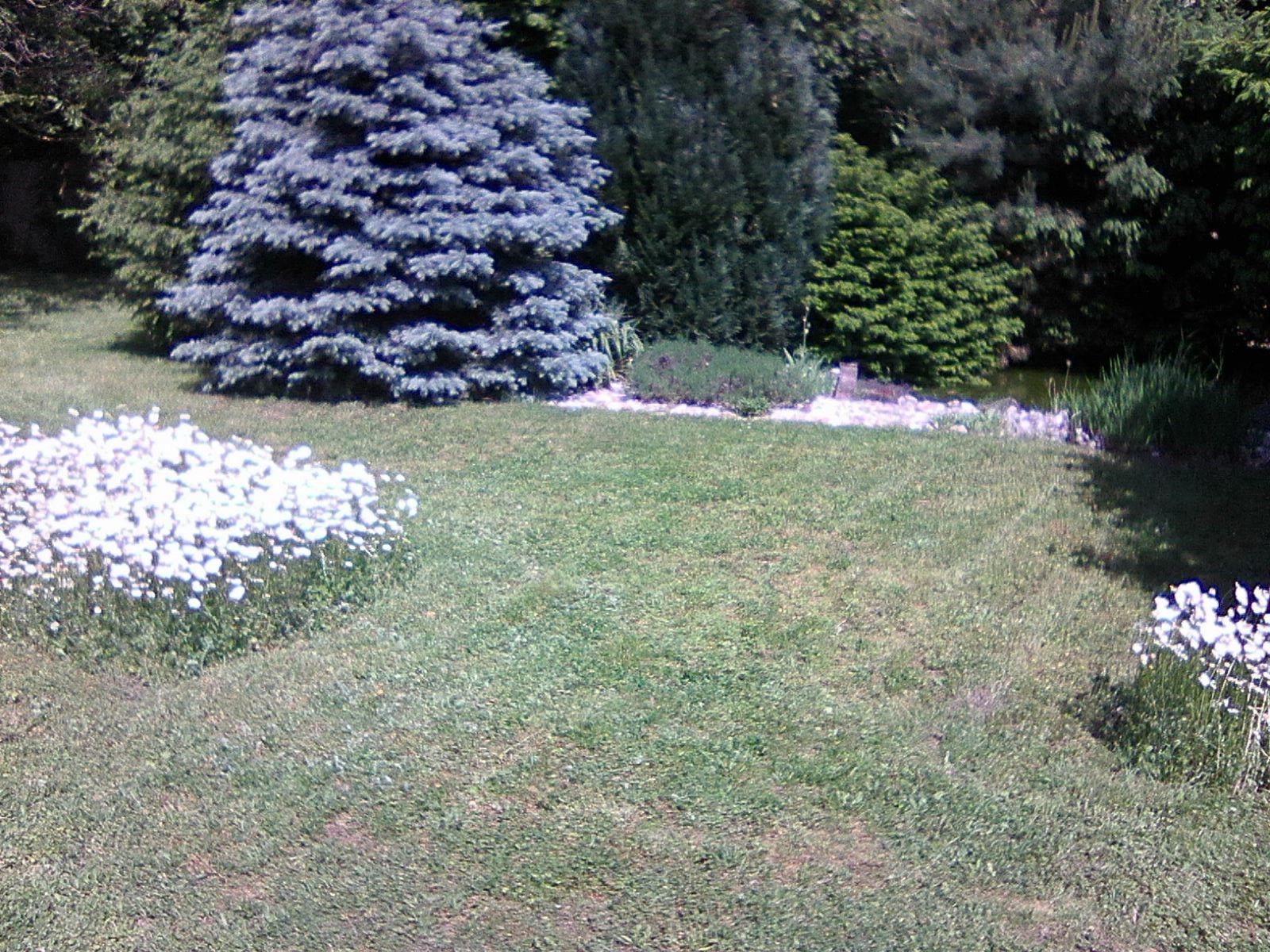 Prodej domu 240 m², pozemek 2.834 m² — photo 5