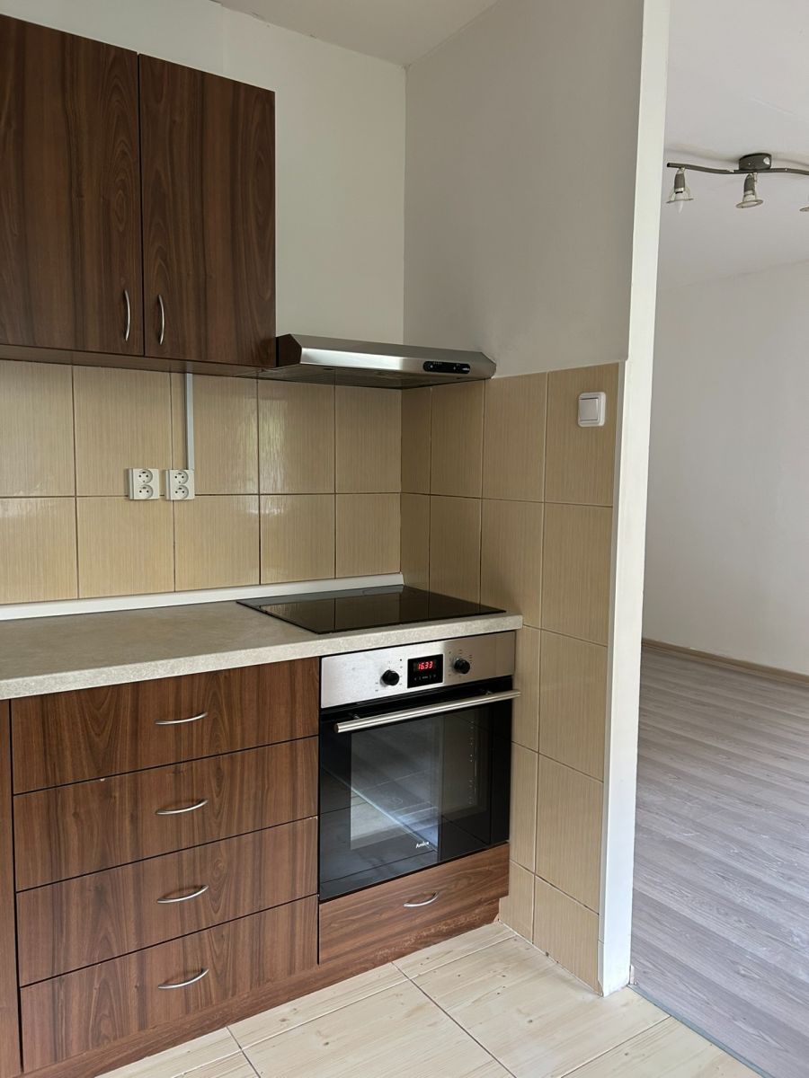 Pronájem bytu 3+kk 54 m² — photo 2