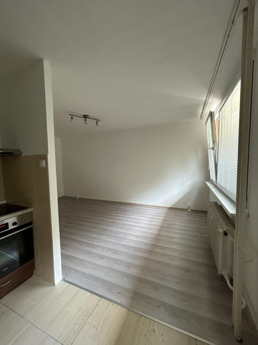 Pronájem bytu 3+kk 54 m² — photo 3