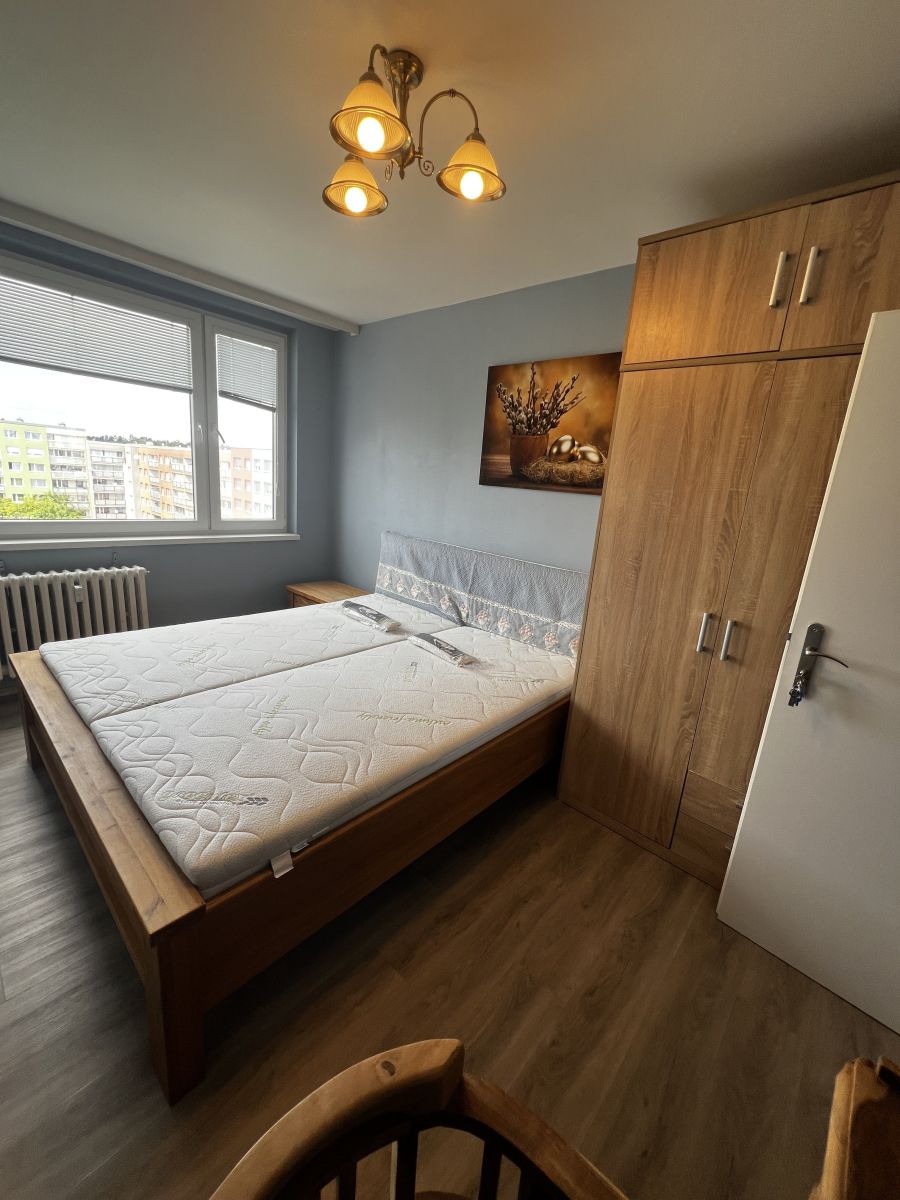 Pronájem bytu  13 m² — photo 2