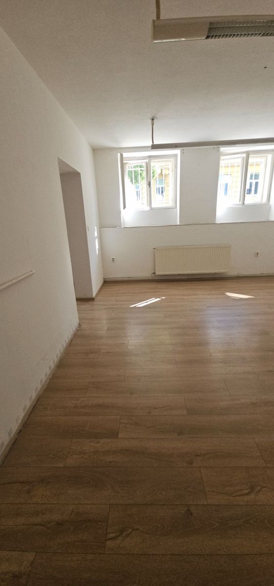 Pronájem bytu 2+1 60 m² — photo 3