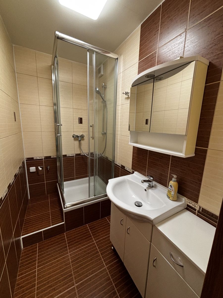 Pronájem bytu 1+kk 31 m² — photo 4