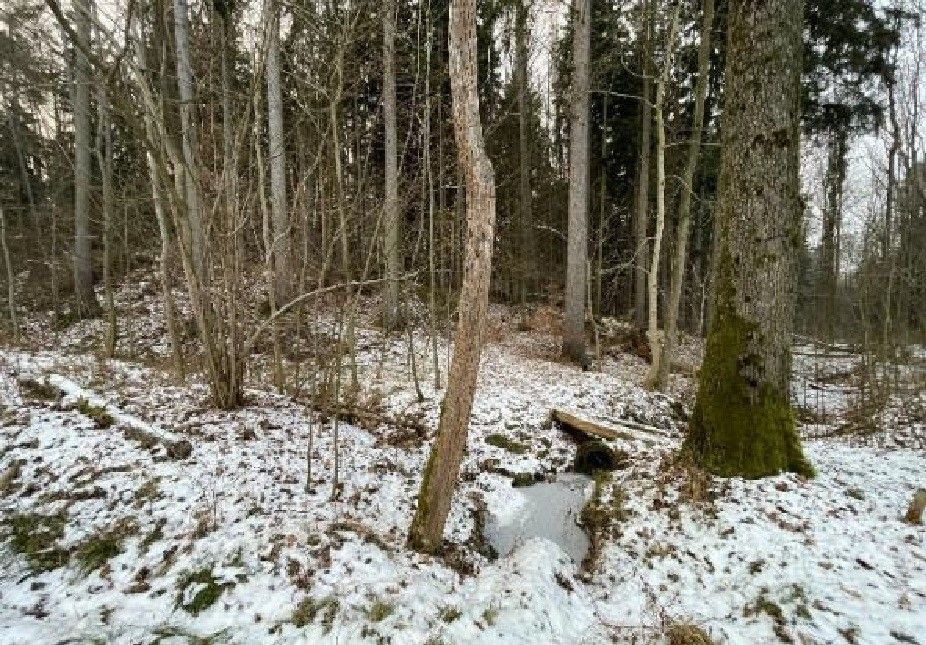 Prodej pozemku 2.124 m² — photo 3