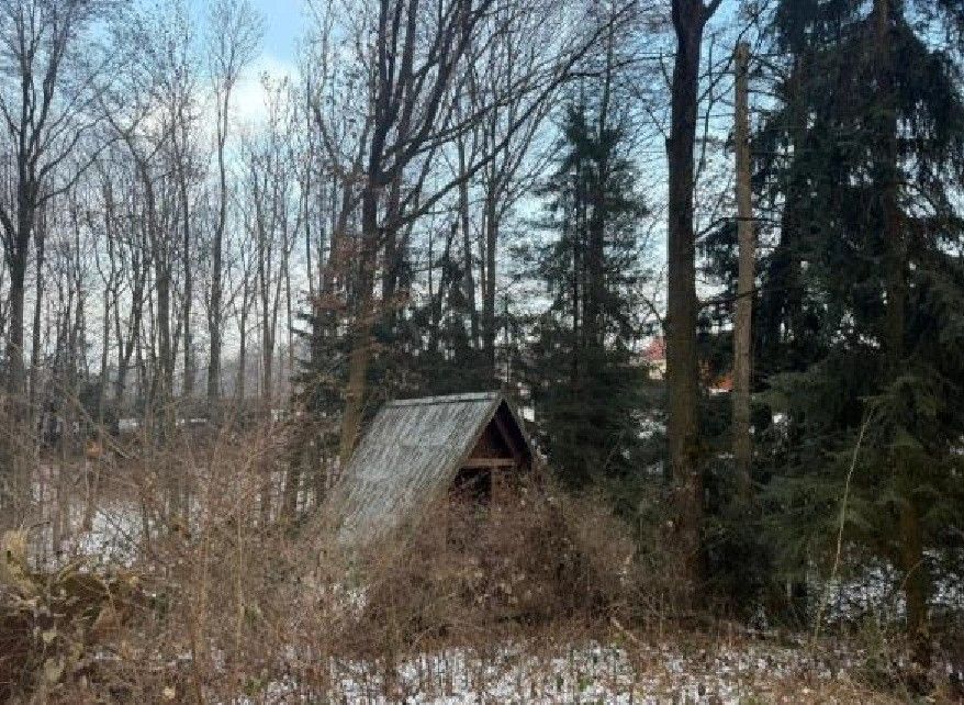 Prodej pozemku 2.124 m² — photo 5