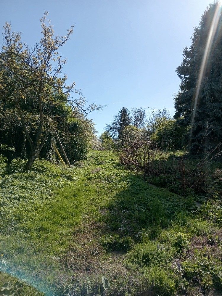 Prodej domu 180 m², pozemek 1.112 m² — photo 5
