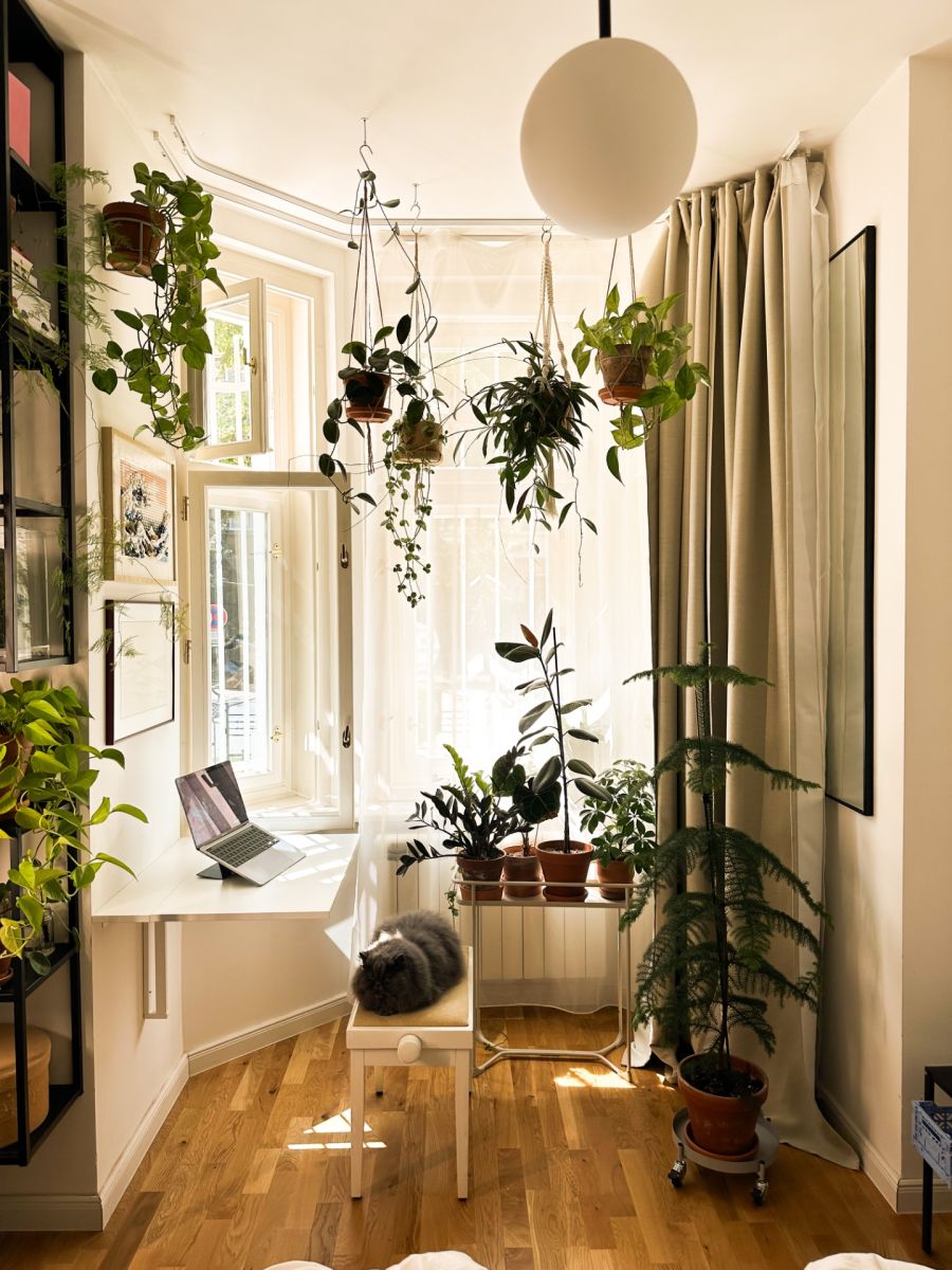 Pronájem bytu 1+kk 34 m² — photo 2
