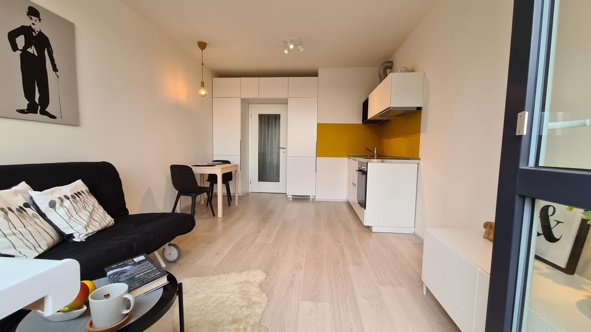 Pronájem bytu 1+kk 35 m² — photo 4