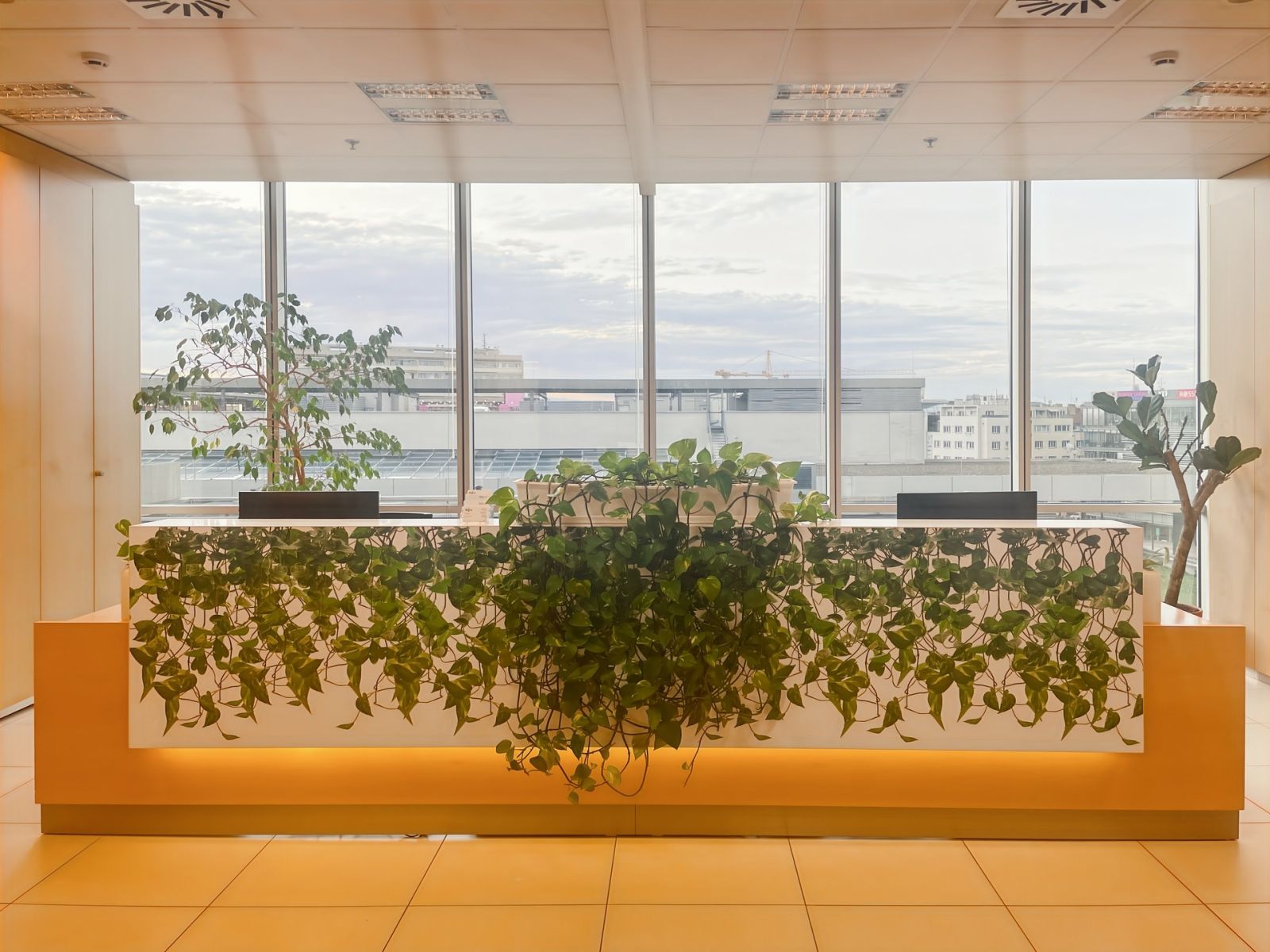 Pronájem kanceláře 30 m² — photo 3