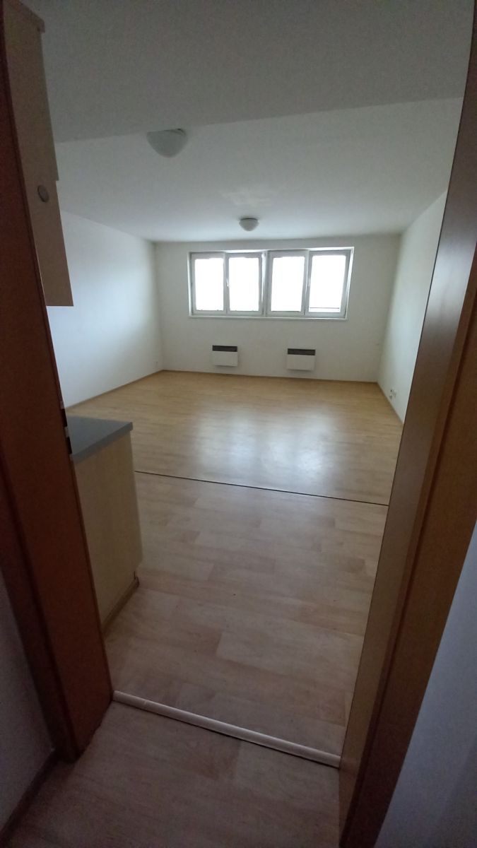 Pronájem bytu 1+kk 47 m²