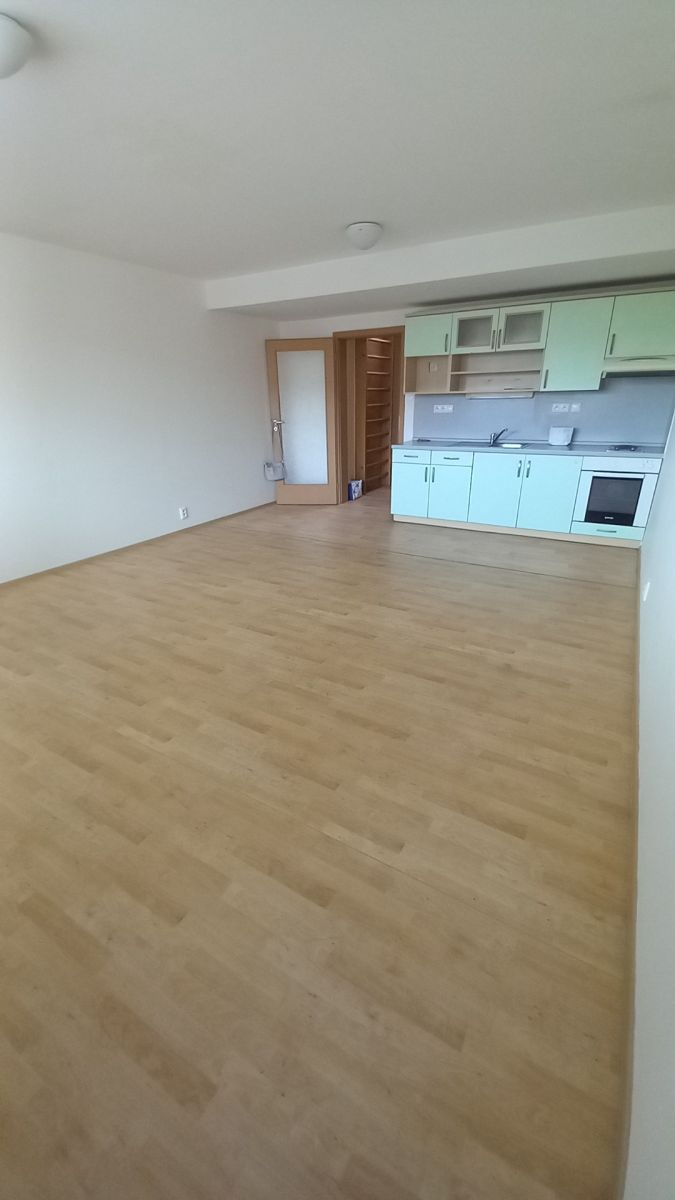 Pronájem bytu 1+kk 47 m² — photo 2