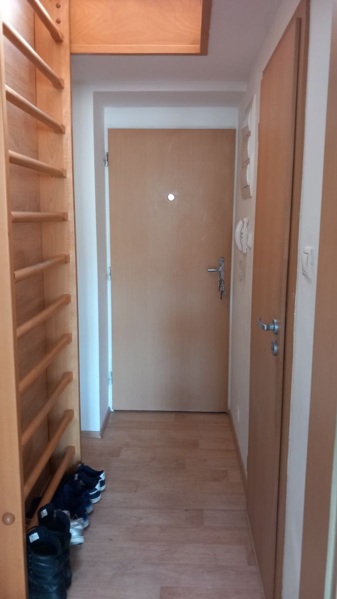 Pronájem bytu 1+kk 47 m² — photo 3
