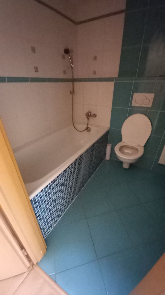 Pronájem bytu 1+kk 47 m² — photo 4