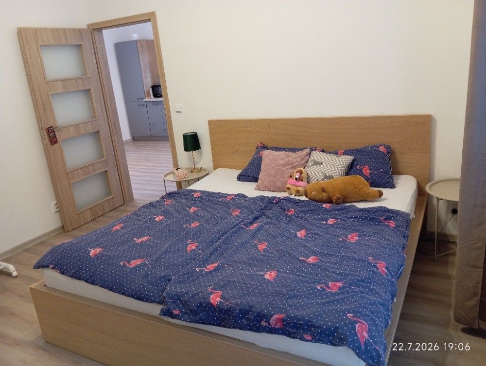 Pronájem domu 50 m², pozemek 100 m² — photo 4