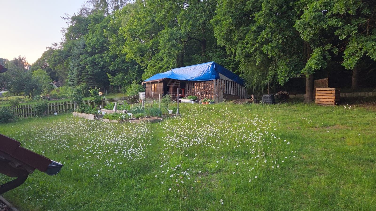 Prodej domu 330 m², pozemek 1.400 m² — photo 5
