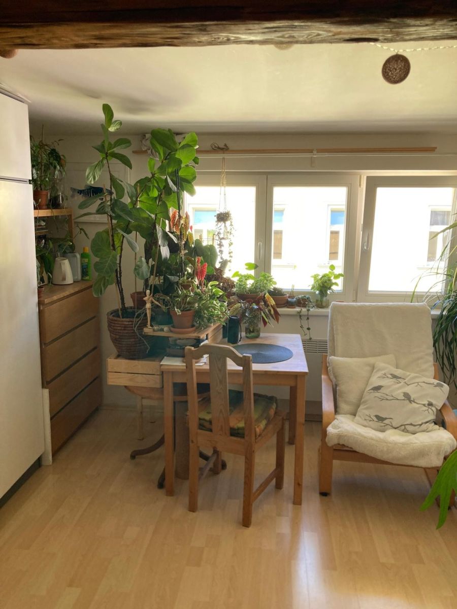 Pronájem bytu 1+kk 20 m² — photo 3