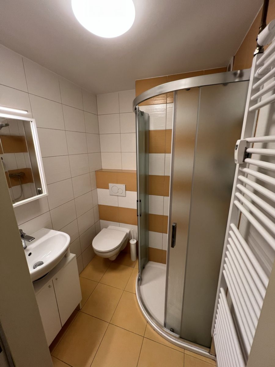 Pronájem bytu 1+1 32 m²