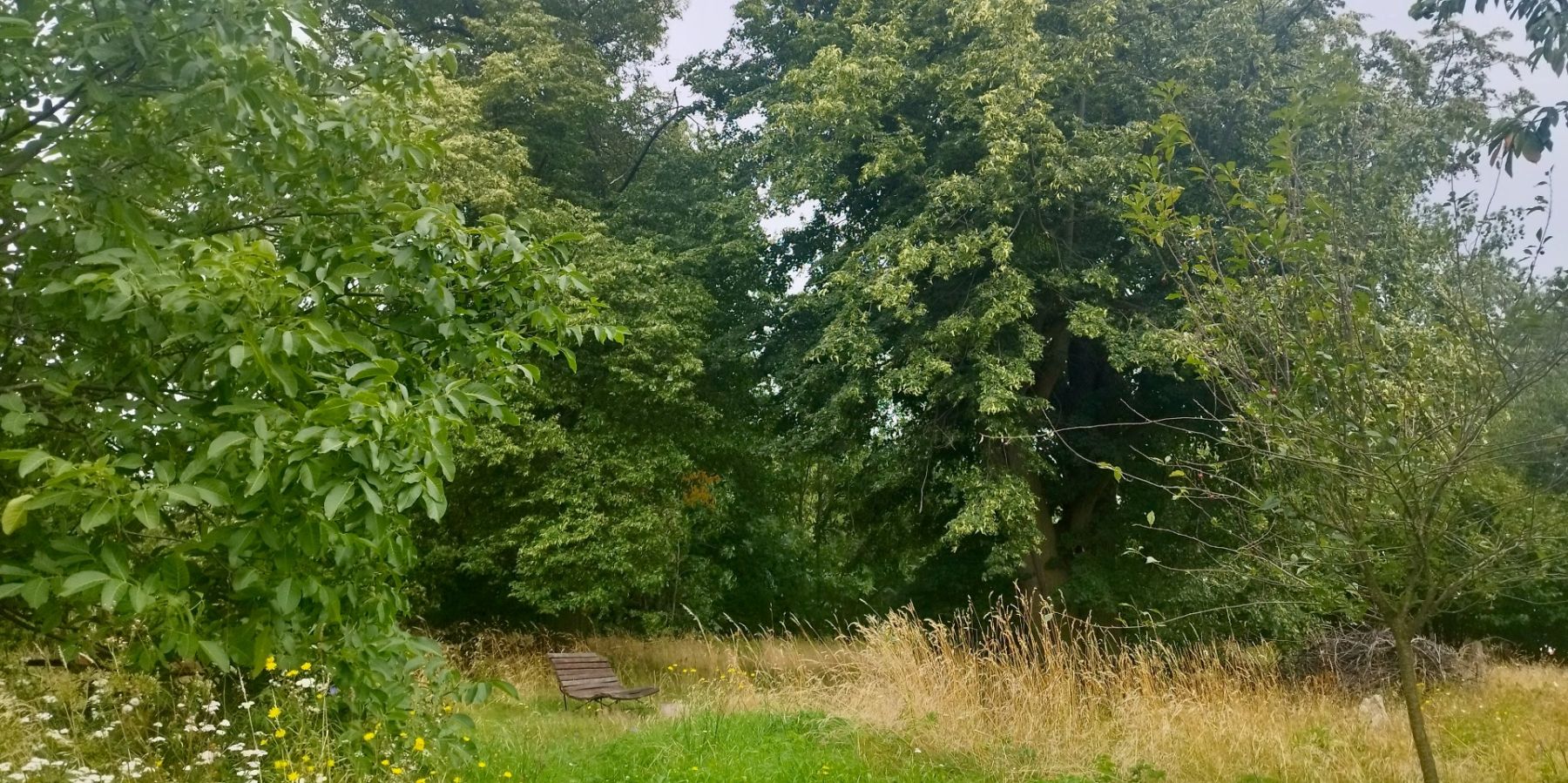 Prodej domu 200 m², pozemek 1.490 m² — photo 3