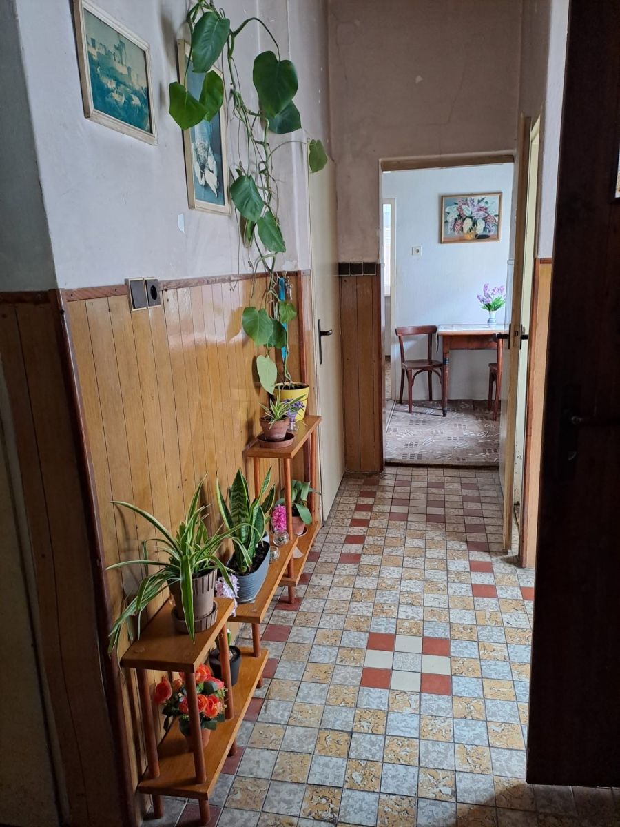 Prodej domu 169 m², pozemek 360 m² — photo 3