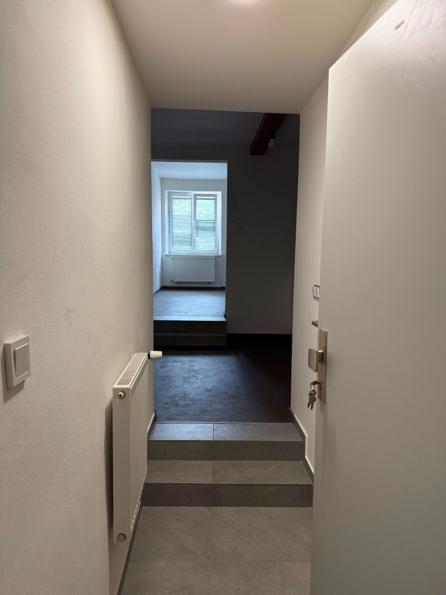 Pronájem bytu 1+kk 24 m² — photo 3
