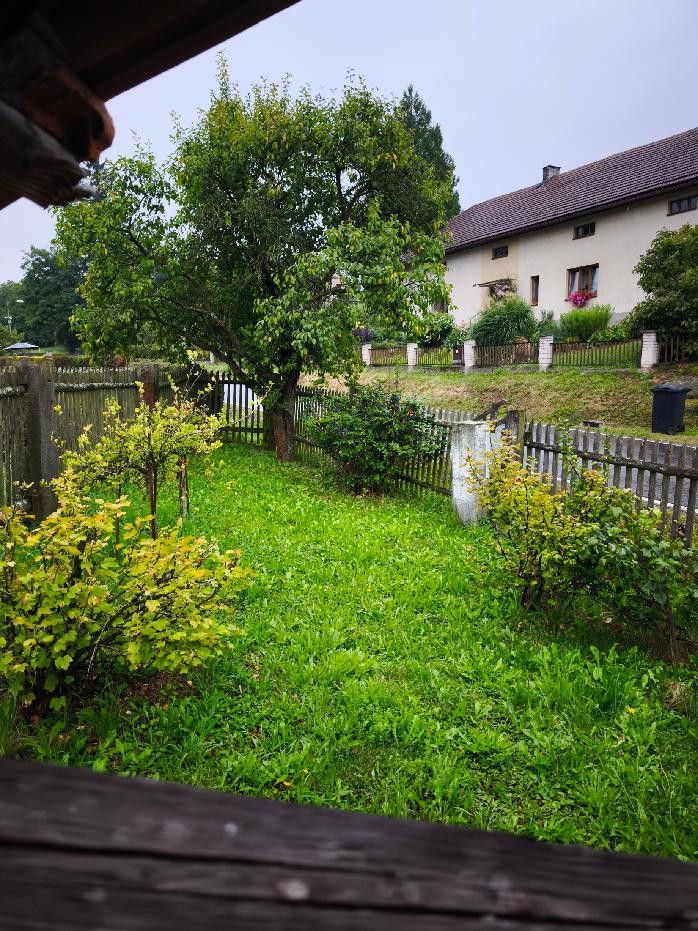 Prodej domu 87 m², pozemek 1.356 m² — photo 5