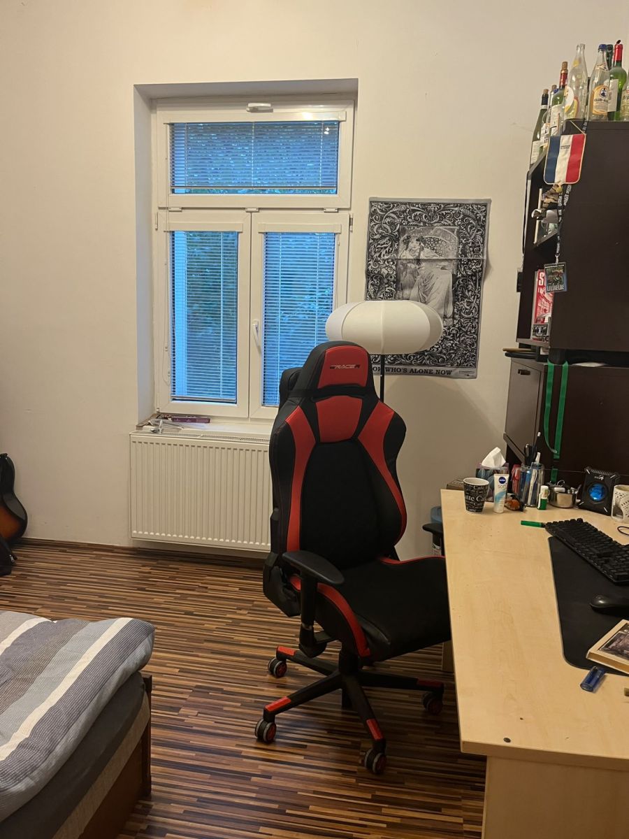 Prodej bytu 1+1 30 m², Plzeň – náhled fotky 12