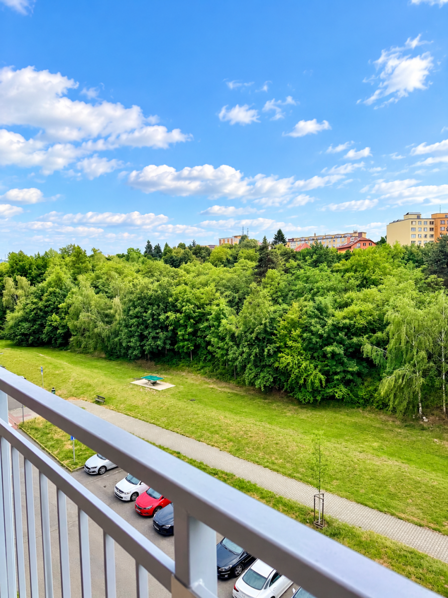 The 3+kk flat for sale, 83 m² (10 of 10)